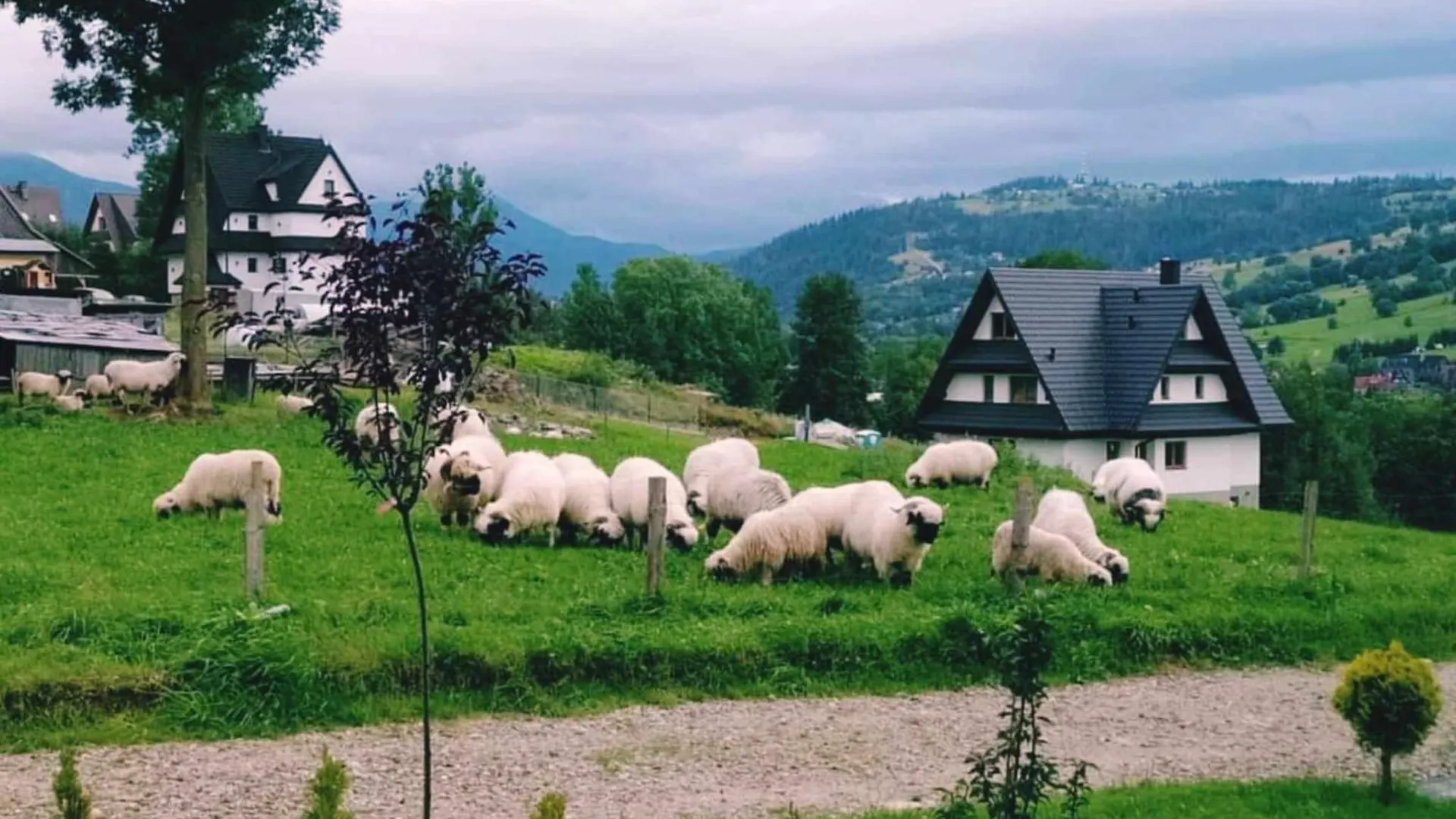 Domki Na Brzyzku - Domek W Gorach Z Balia Z Jacuzzi Zakopane Polonya